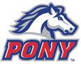 pony