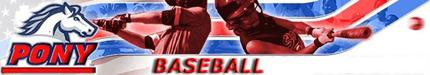 logo_homepbb#1
